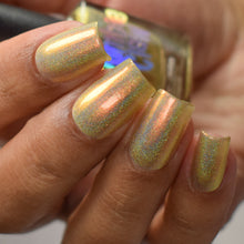 Load image into Gallery viewer, Queen Bee