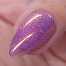 Load image into Gallery viewer, Nightfall Hollow