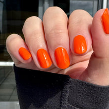 Load image into Gallery viewer, Orange Sherbert