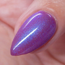 Load image into Gallery viewer, Midnight Orchid