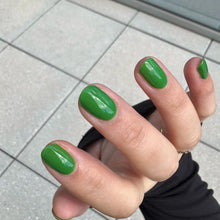 Load image into Gallery viewer, Matcha Bunny