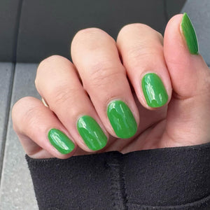 Matcha Bunny