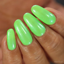 Load image into Gallery viewer, Froggy