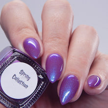 Load image into Gallery viewer, Midnight Orchid